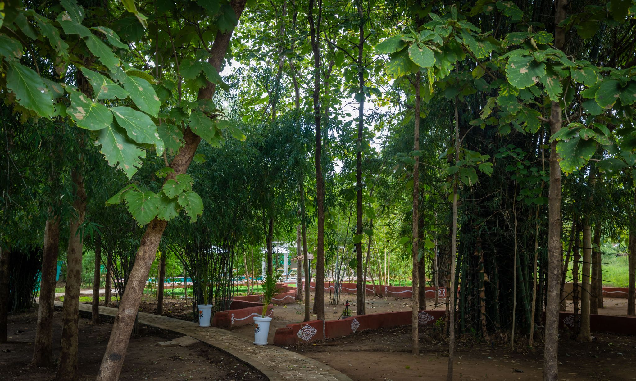 THE FOREST CHAPTER BY SAYAJI, MADHAI