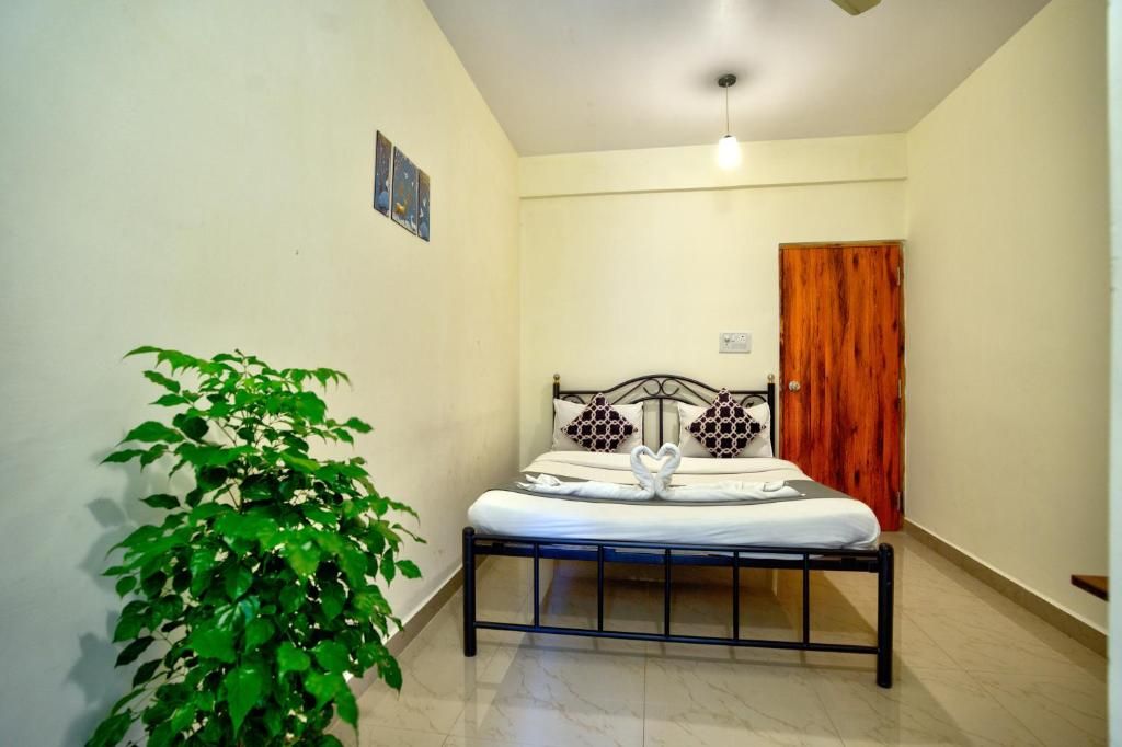 The Coral Reef  Deluxe Room 3