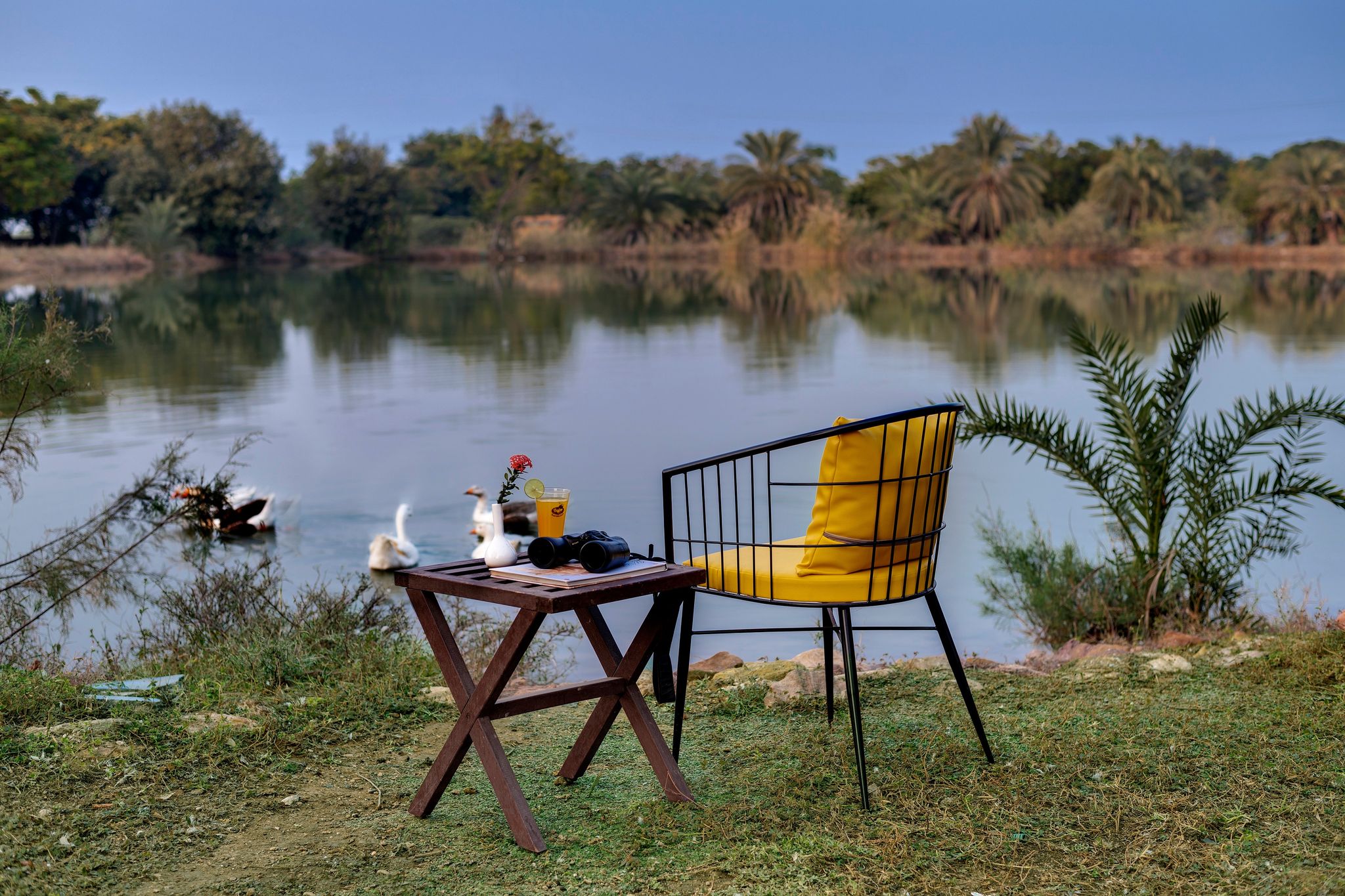 Royal Safari Lakeside Resort - Little Rann of Kutch