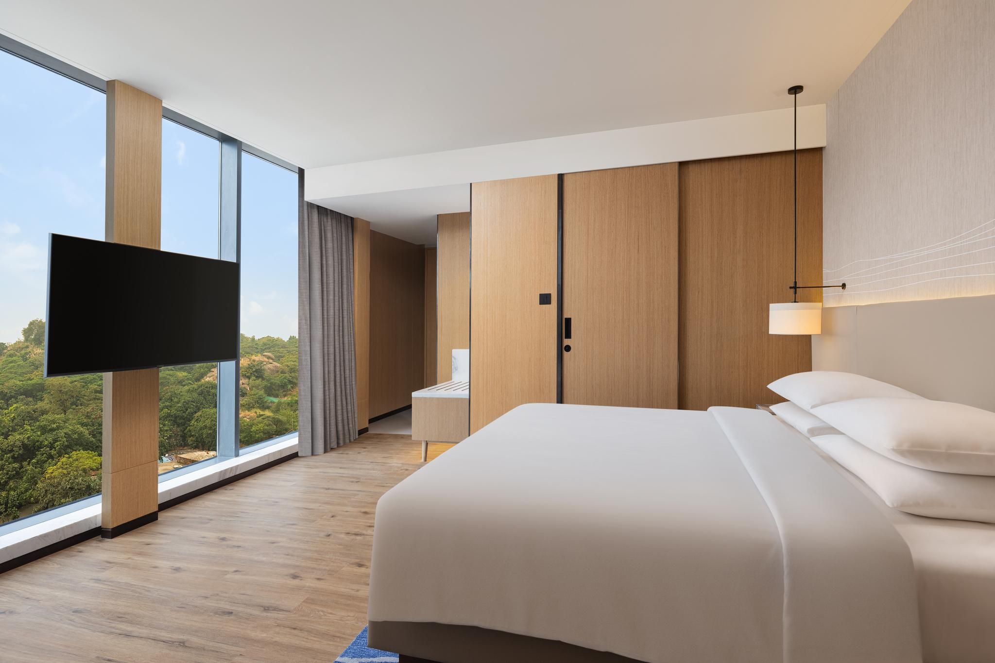 1 Bedroom Junior Suite, King, City view