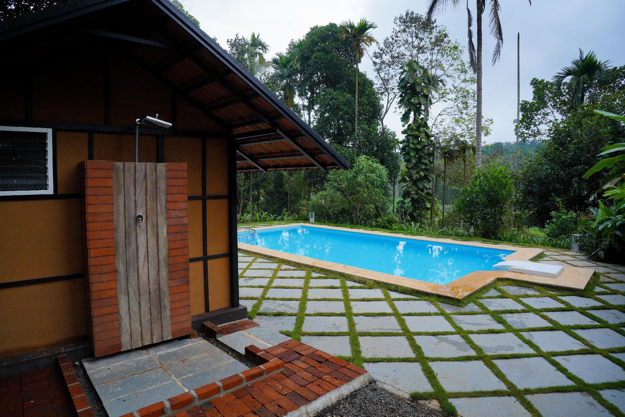 Swimming pool [outdoor]
