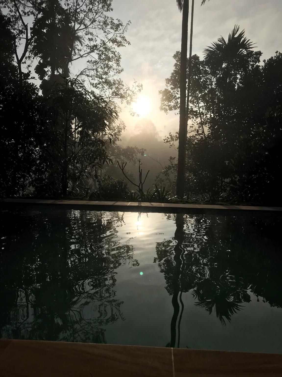 Swimming pool [outdoor]