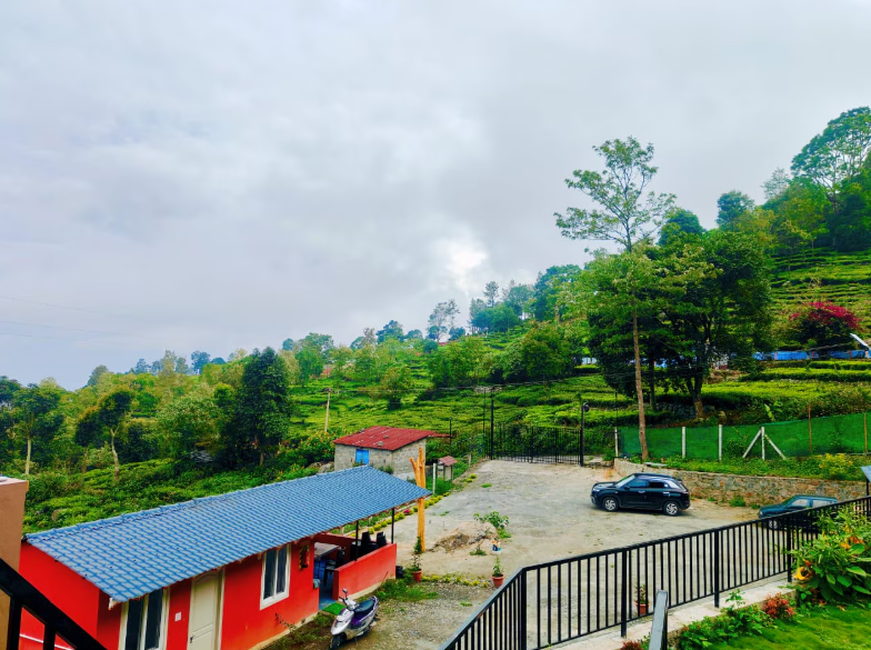 Humming Bird by Brown Tree Resorts