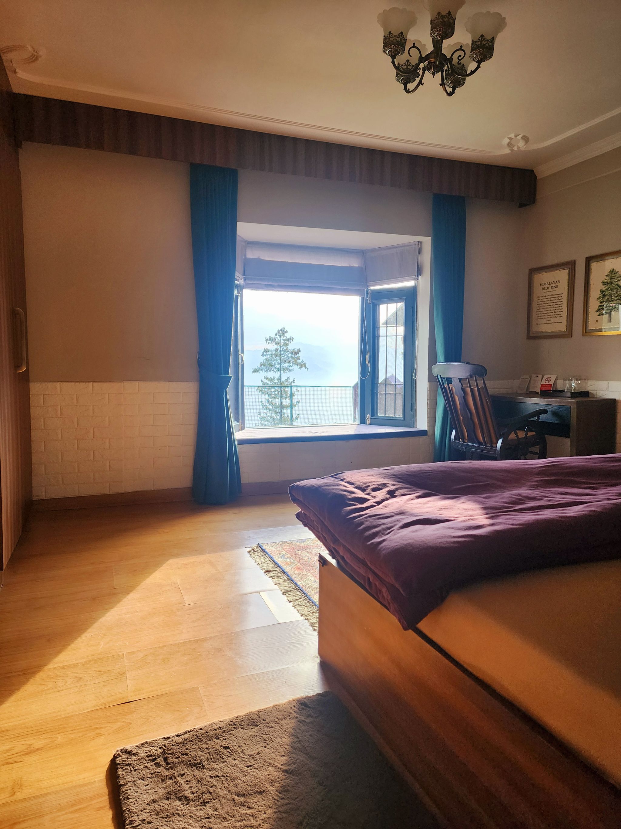 Deluxe Room- Blue Pine