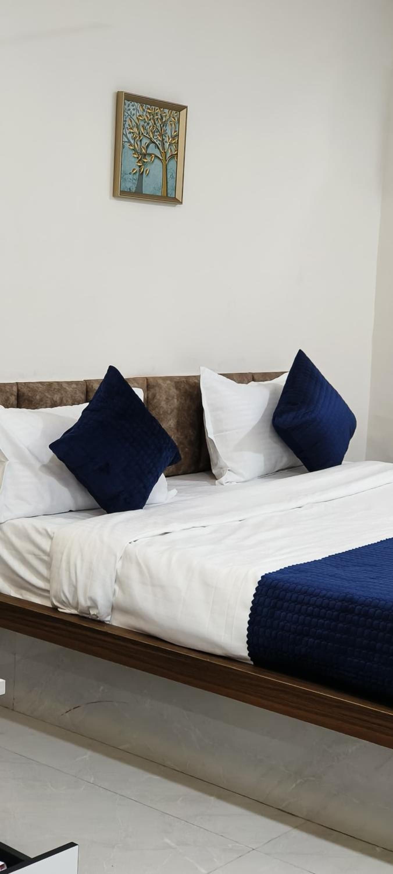 Hotel Krishna Palace DELUXE ROOM 2