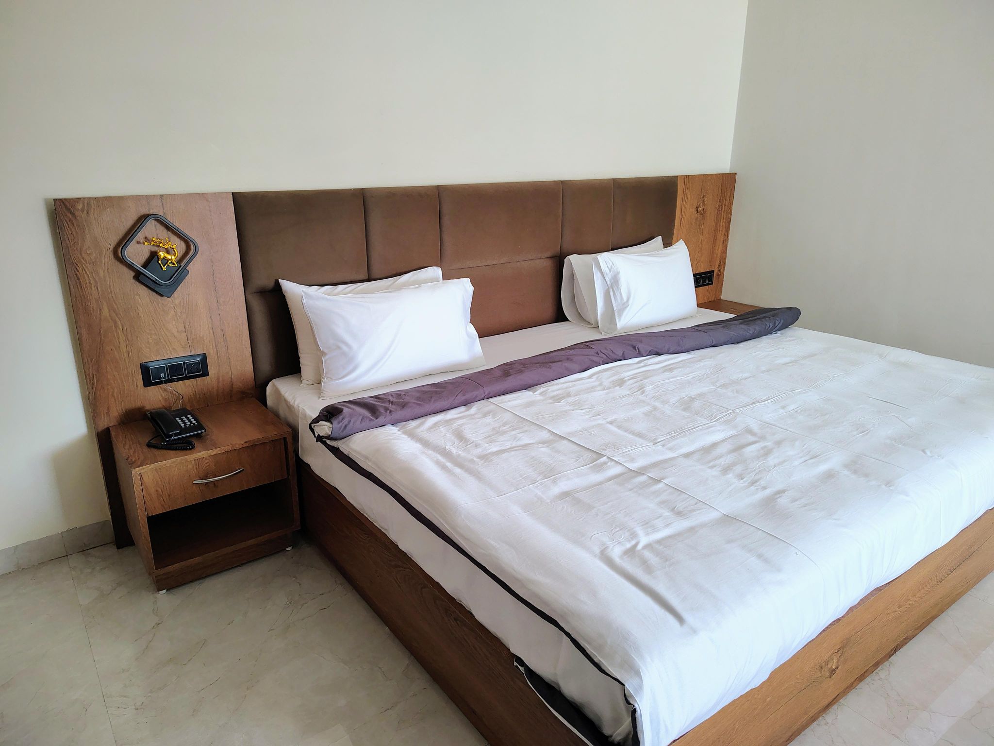 Hotel Gurukripa Deluxe Room with Sofa Bed 6