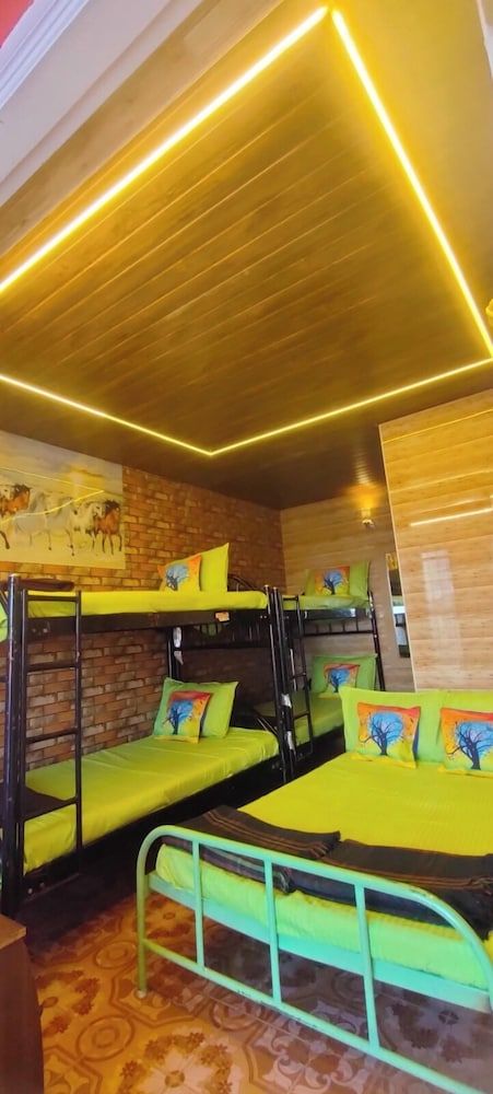 Classic Room, Mixed Dorm, Patio, Mountain View