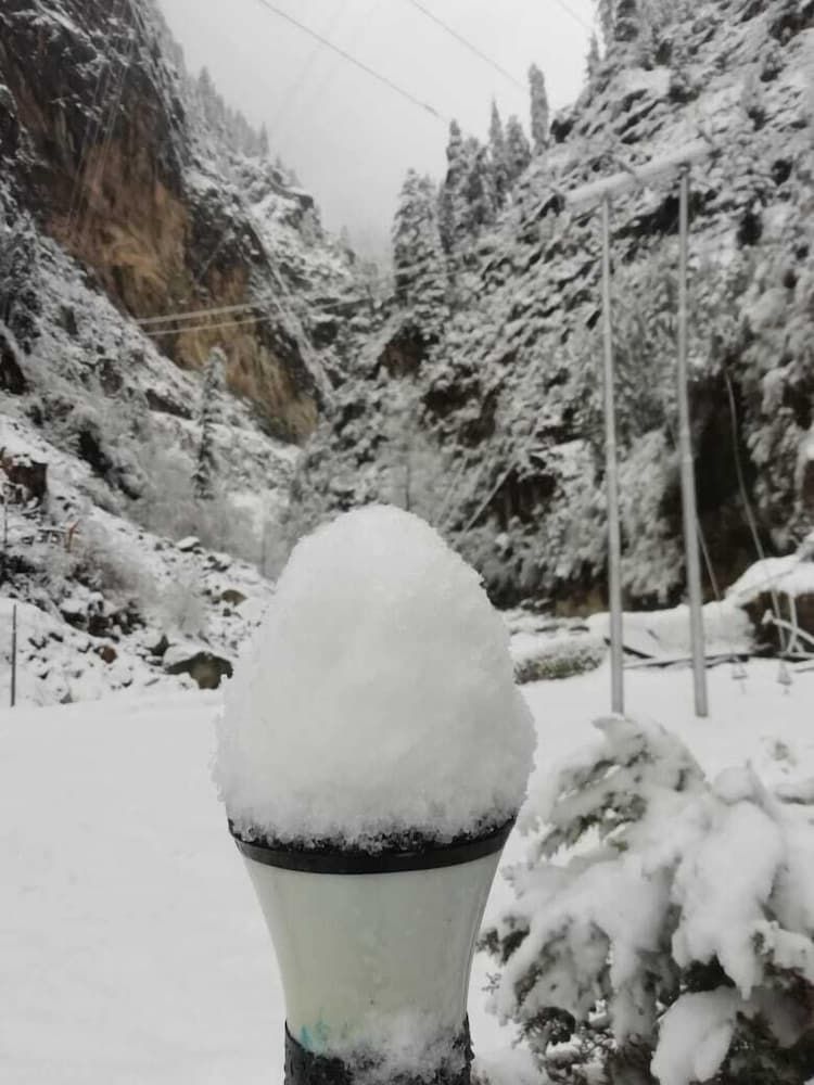 Children's activities