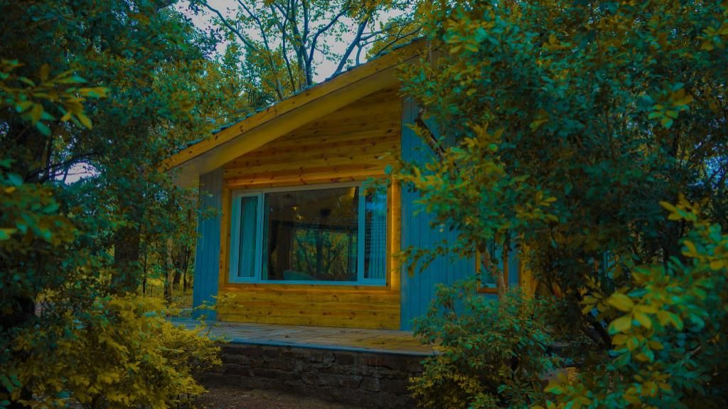 Villa With Plunge Pool