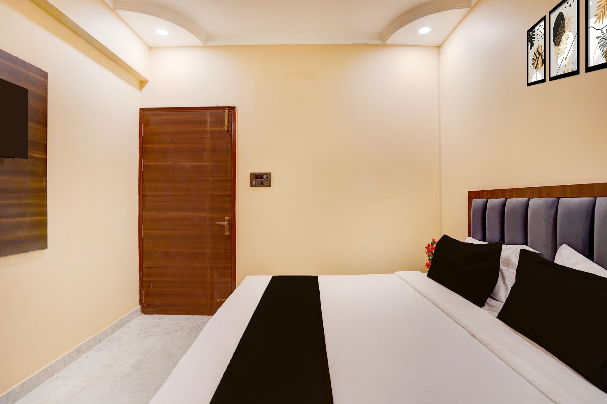 Super Collection O High Court Lucknow Classic 64