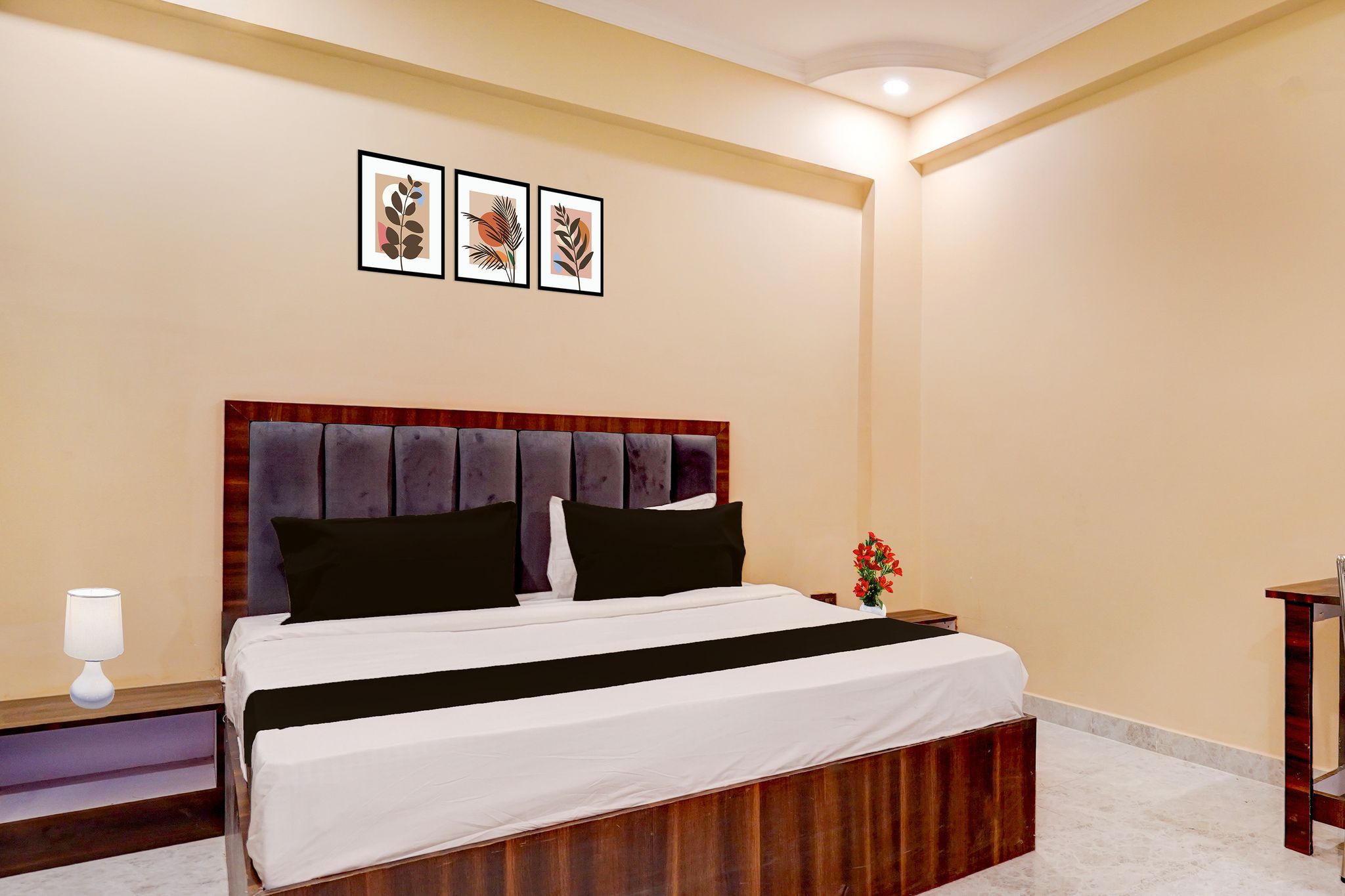 Super Collection O High Court Lucknow Classic 5