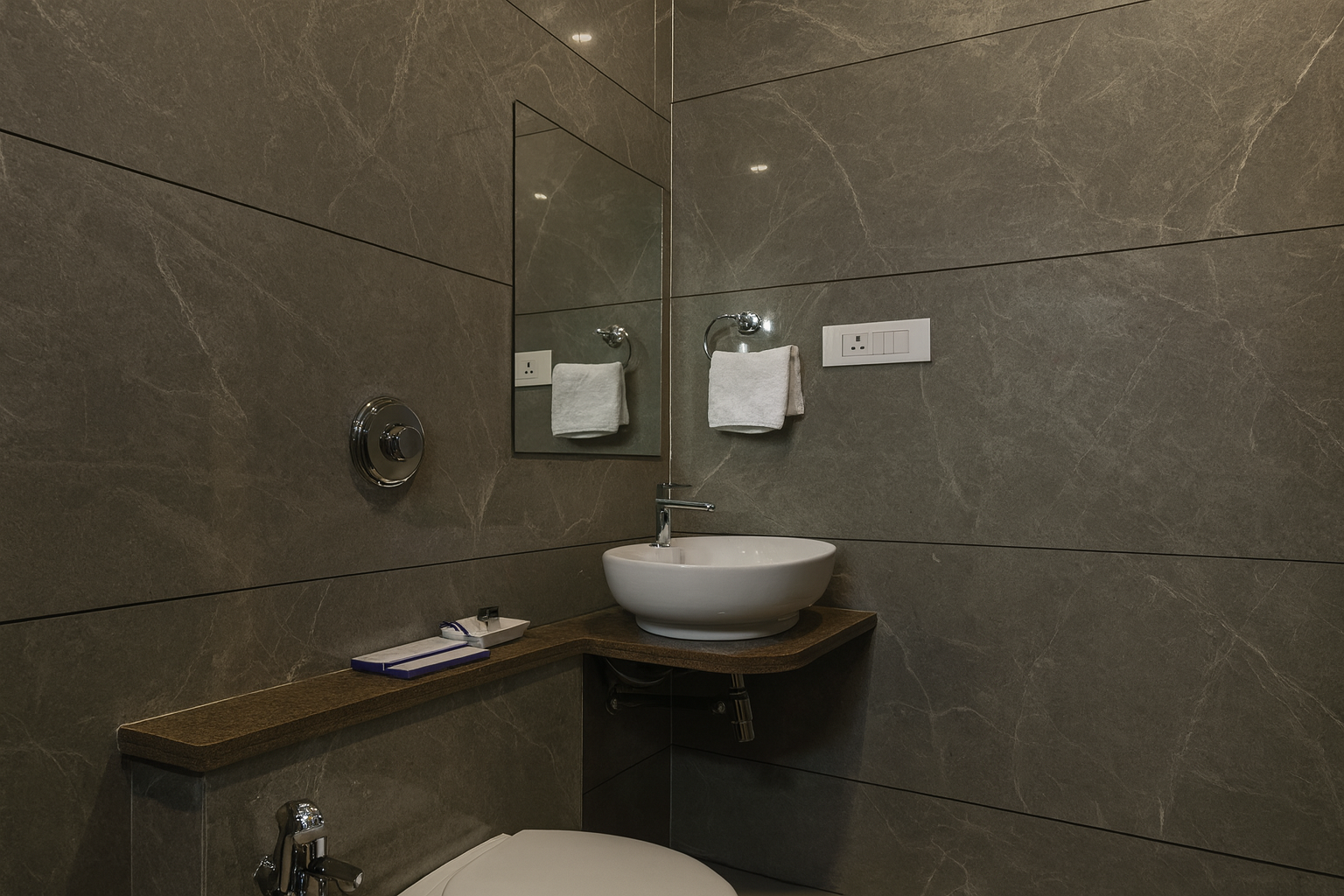 Lavender Hotels With Swimming Pool - Statue Of Unity Deluxe Room 26