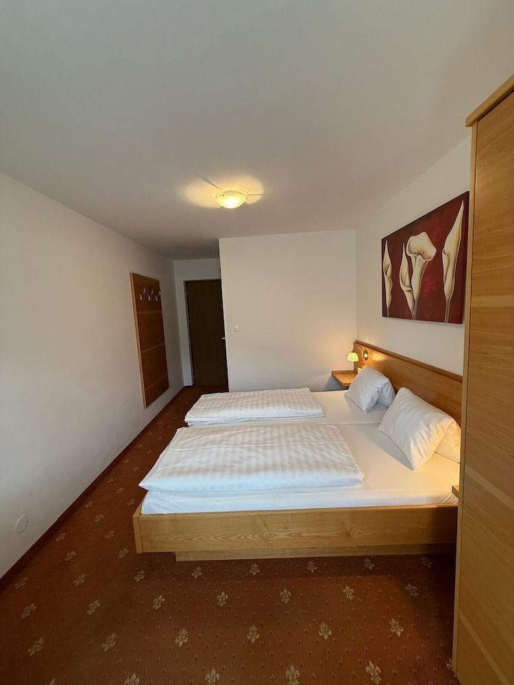 Pension Plattenhof Economy Double Room, Balcony, Mountain View 5