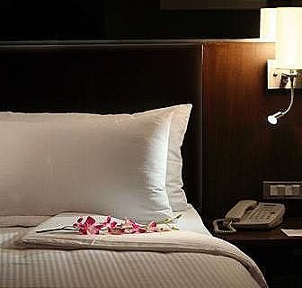 St Laurn- Koregaon Park, Pune EXECUTIVE TWIN BED 19