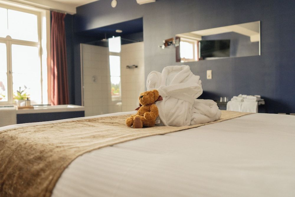 Hotel Restaurant Steenhuyse Deluxe Room, City View 5