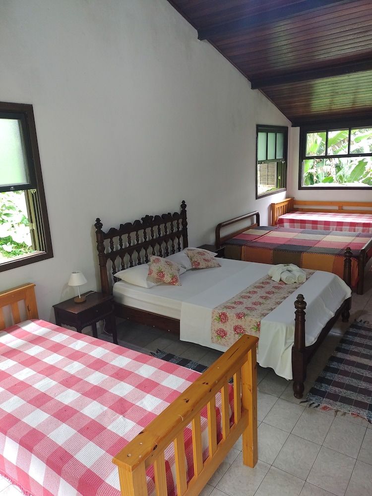 Economy Shared Dormitory, Garden View