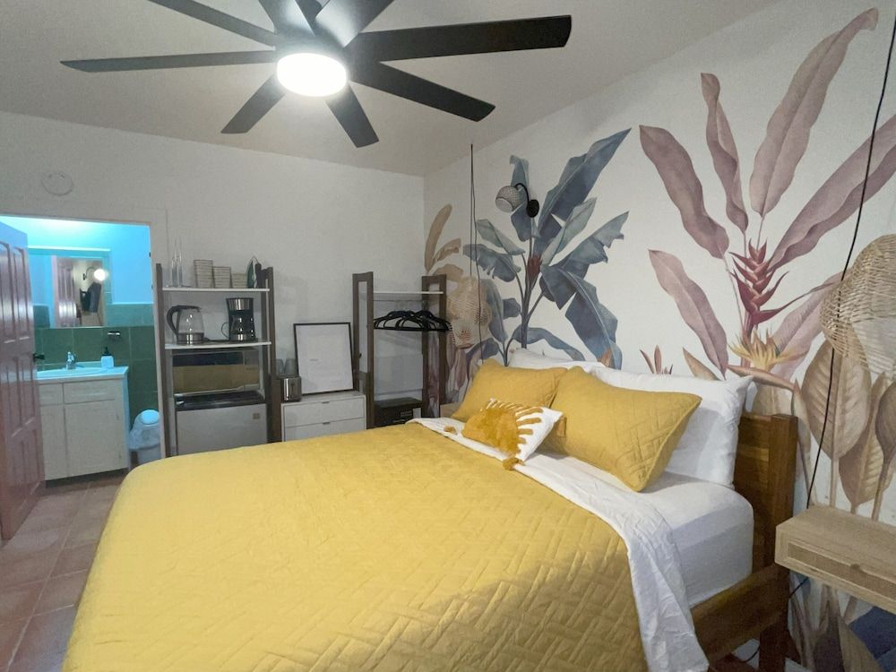 Alux House Junior Studio