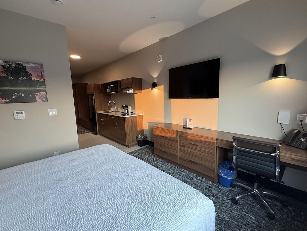 Suite, 1 King Bed, Non Smoking, Kitchenette (Shower Only;with Single Sofabed)