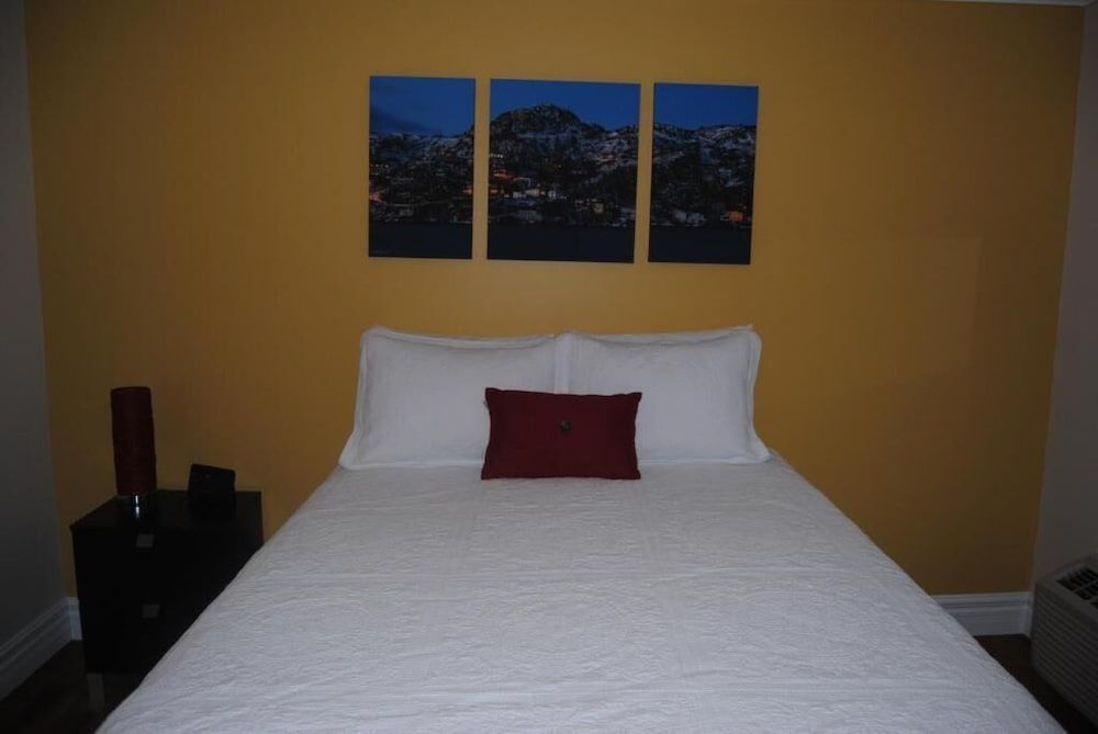 Comfort Single Room, Non Smoking, Pets Allowed