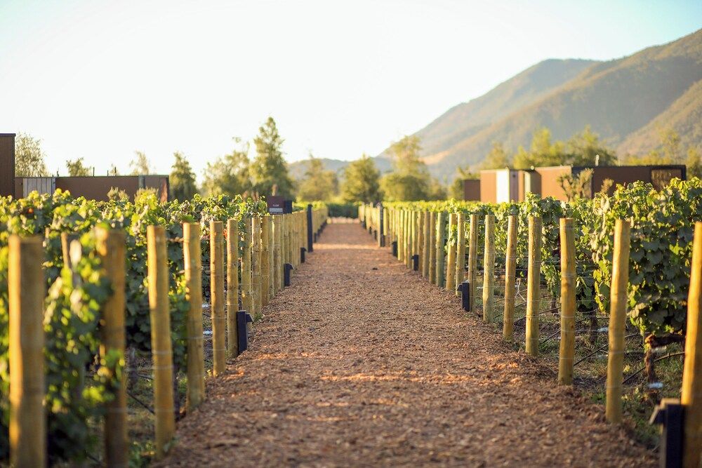 Vibo Wine Lodge