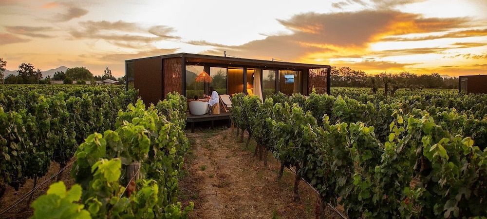 Vibo Wine Lodge