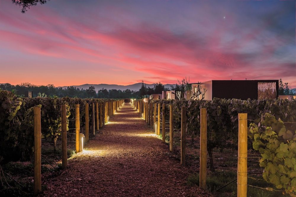 Vibo Wine Lodge