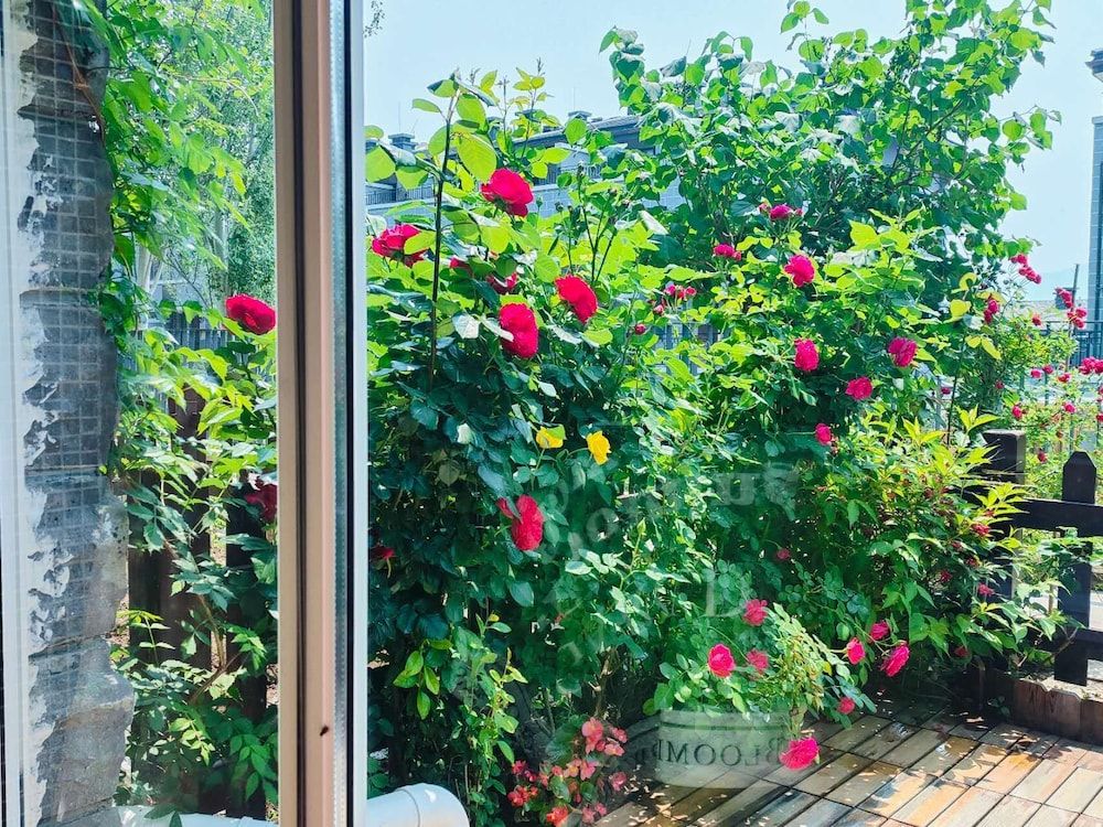 ATRIUM FENGZHU HOMESTAY American Gardening Suite 11