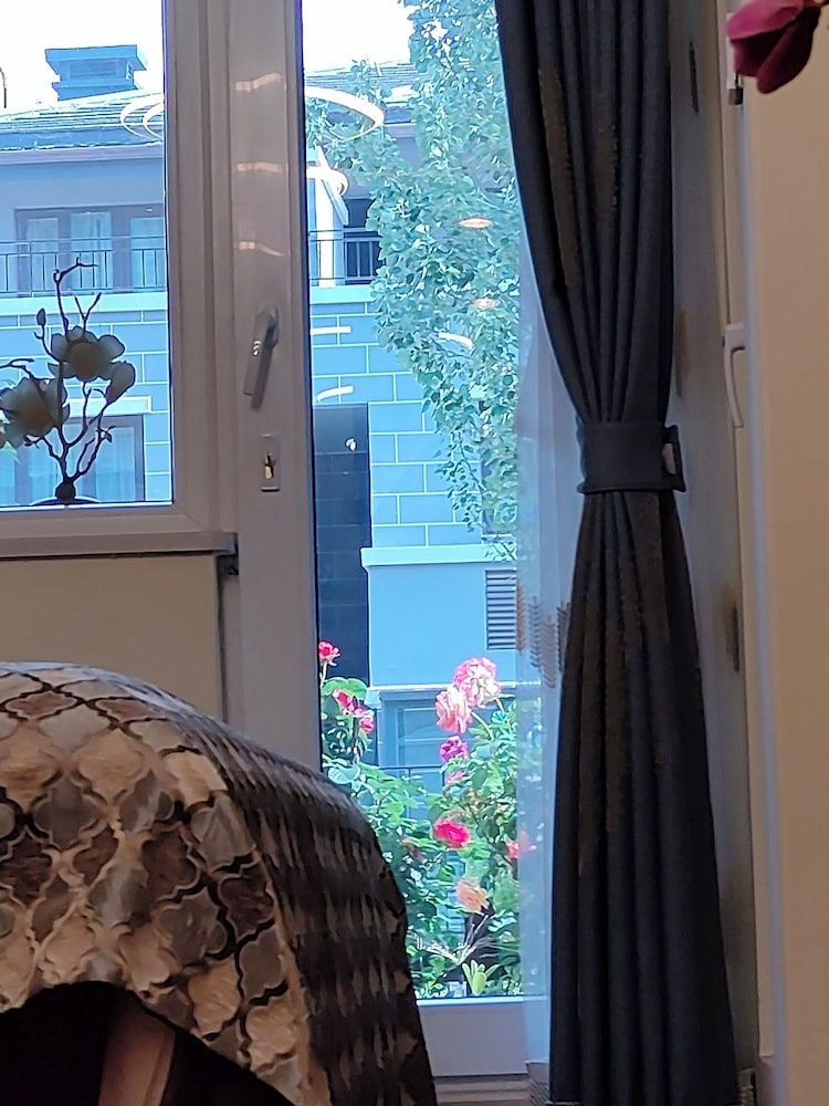 ATRIUM FENGZHU HOMESTAY American Gardening Suite 21