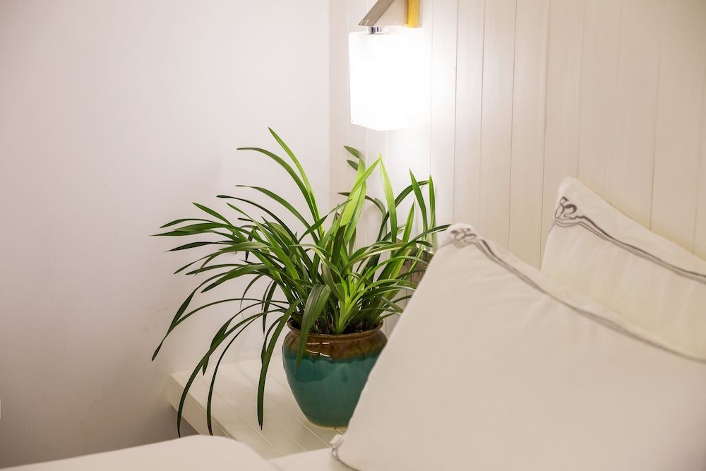 Comfort Villa
