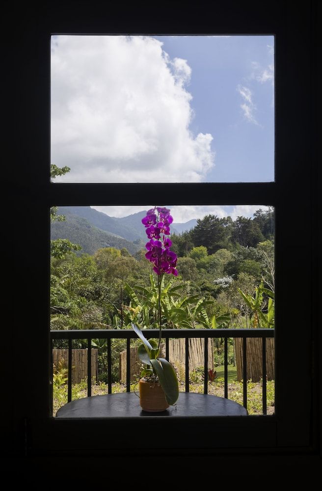 Sazagua Reserva Natural Cocora Superior Suite 10