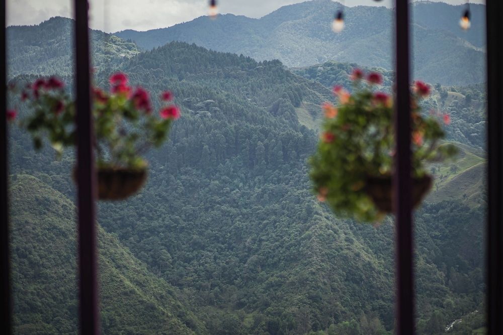 La Casa en las Nubes Standard Double or Twin Room, Garden View 3