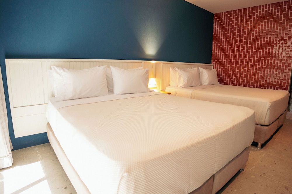 Zapadilly Tree Hotel Superior Room, 2 Queen Beds (Vista al Jardin) 4