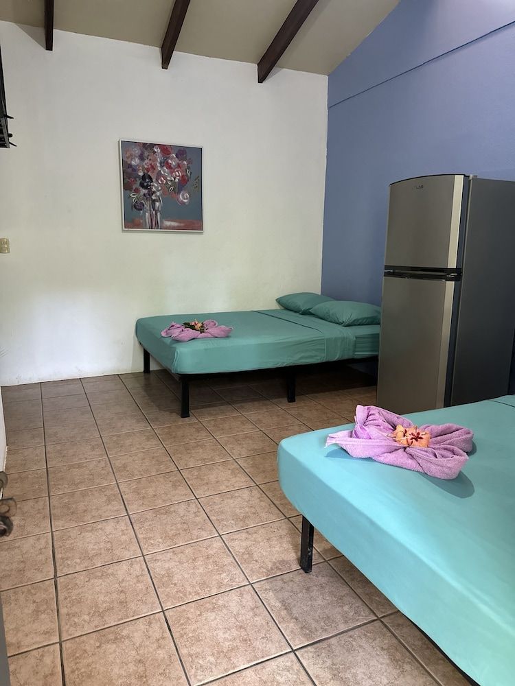 Wide Mouth Frog Conchal