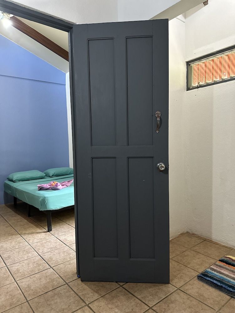 Wide Mouth Frog Conchal Basic Room 6