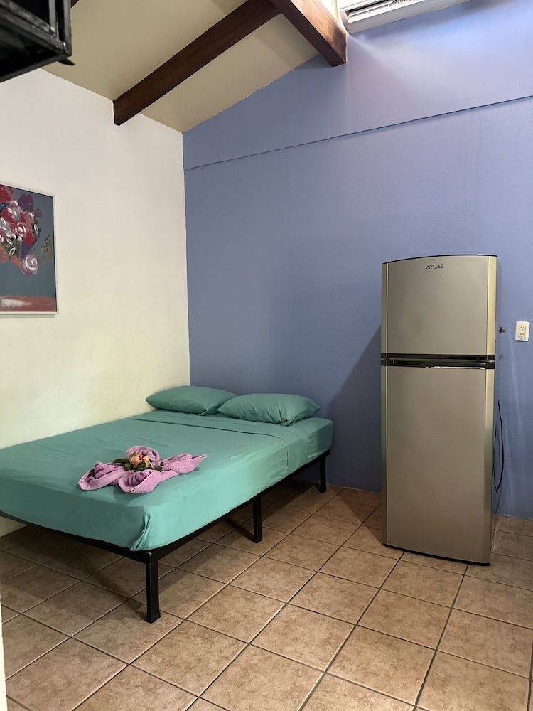 Wide Mouth Frog Conchal Basic Room 5