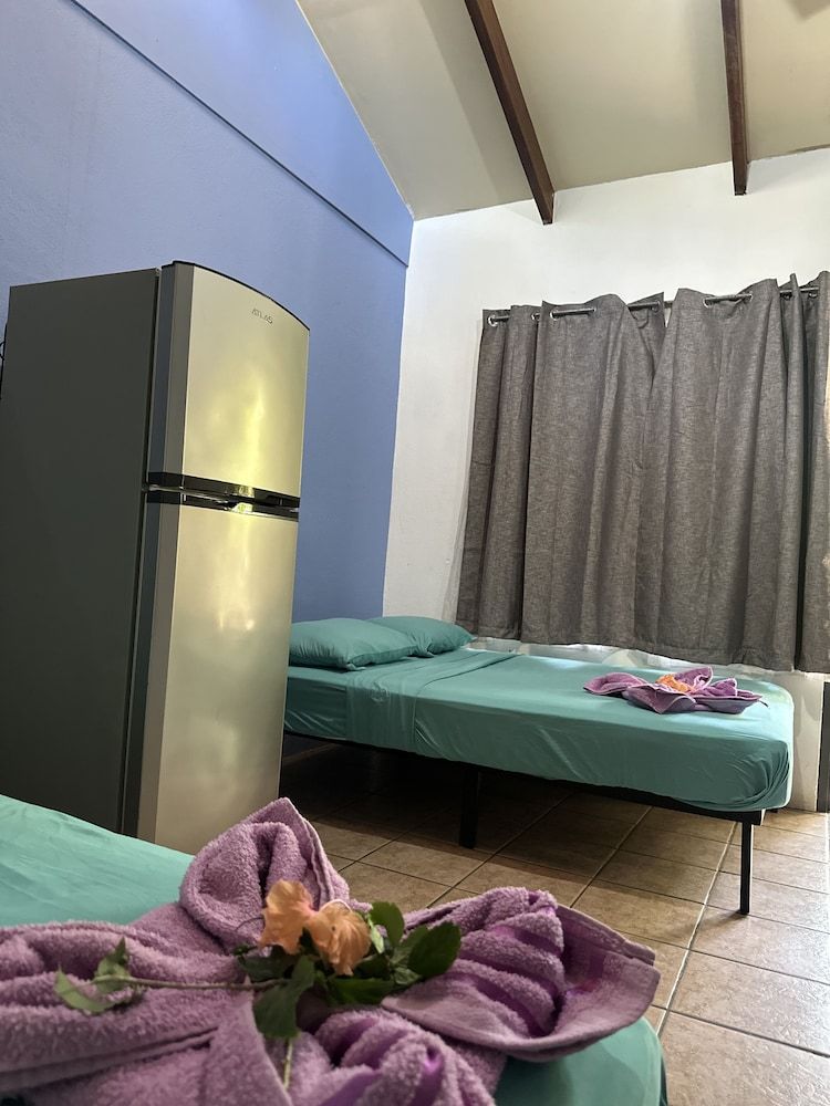 Wide Mouth Frog Conchal Basic Room 4