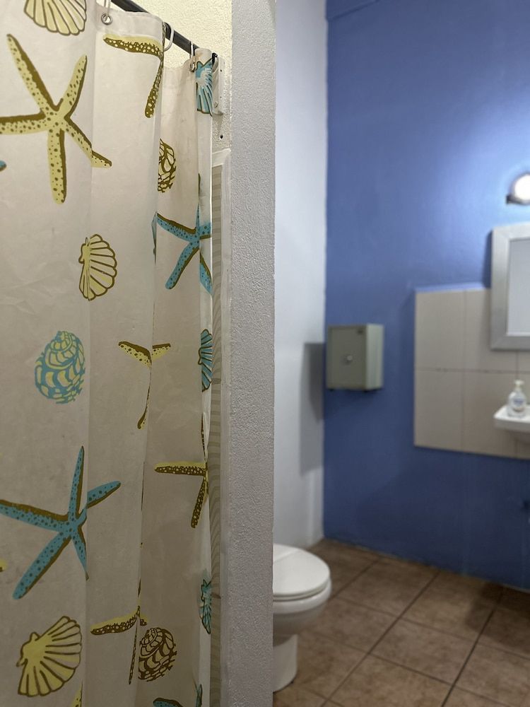 Wide Mouth Frog Conchal Basic Room 3