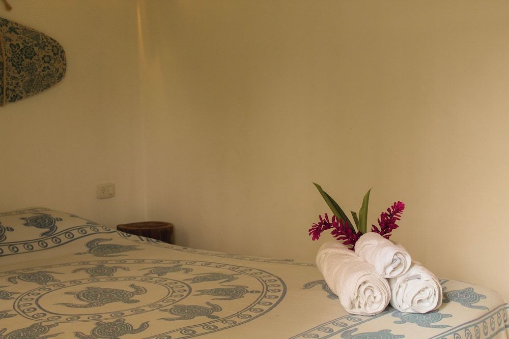 Olivia del Caribe Suite Comfort Loft 5