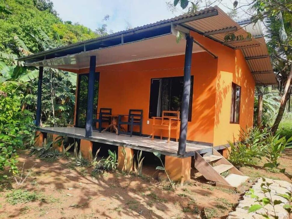 corcovado green parrot