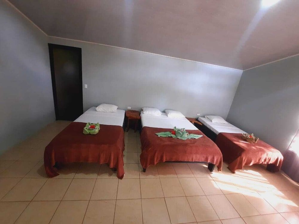 corcovado green parrot Quadruple Room, Mountain or Garden View