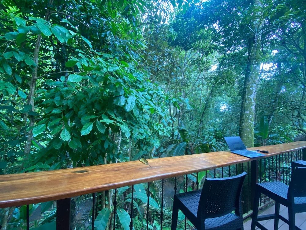 Ukinca Hostel Economy Shared Dormitory, Pets Allowed 4