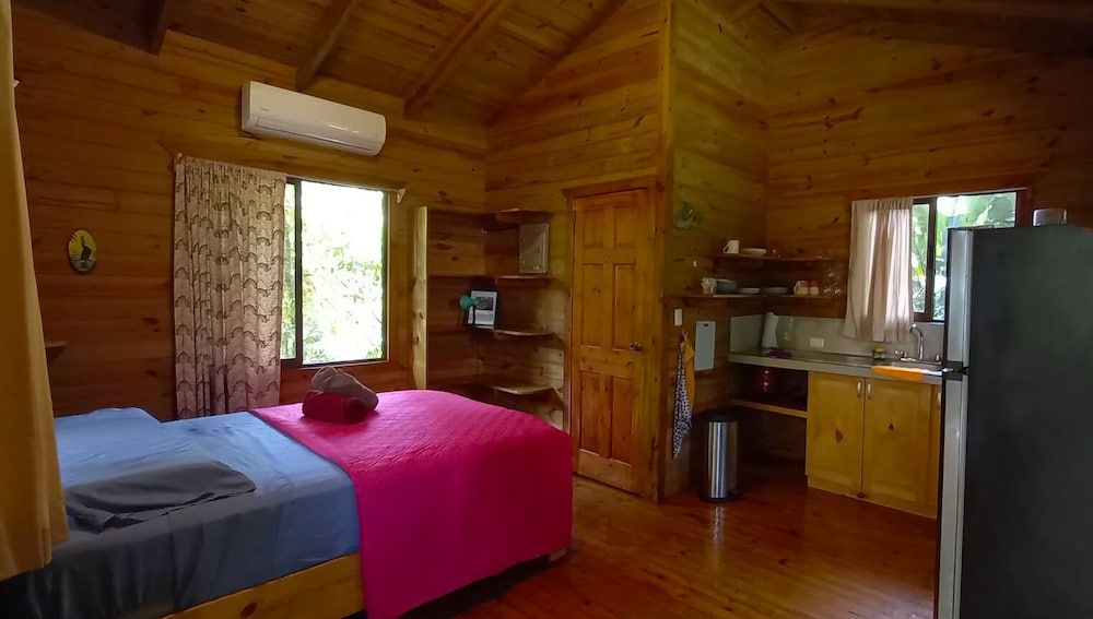 Economy Cabin