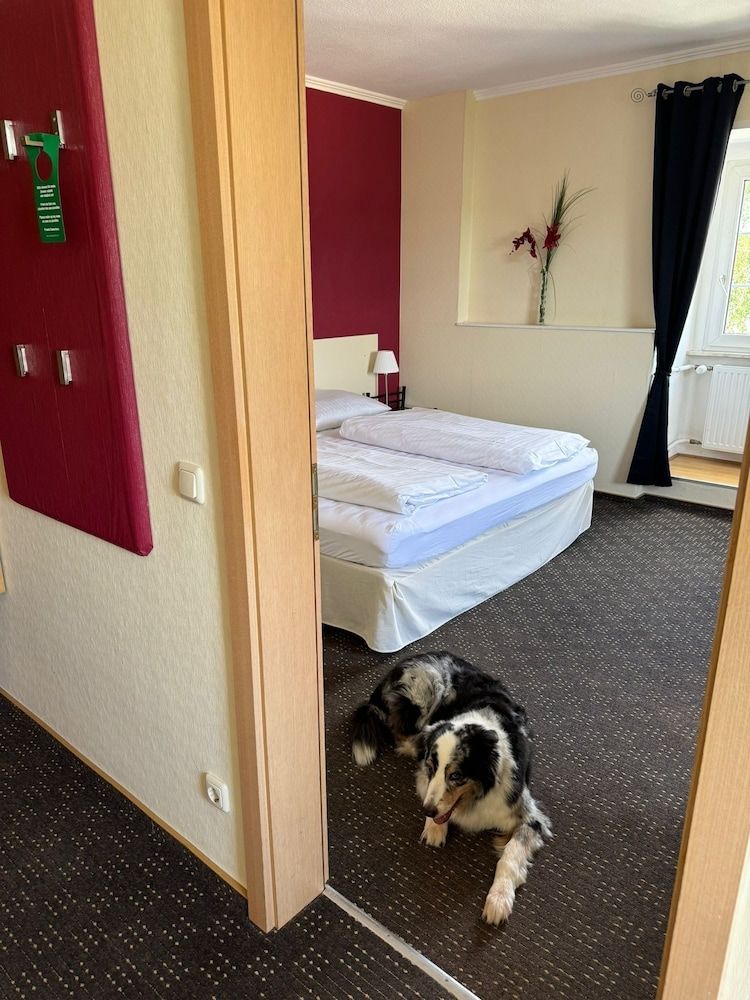 Schloss Hotel Kastellaun Comfort Double Room 4