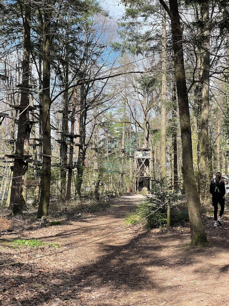 Ropes Course (Team Building)