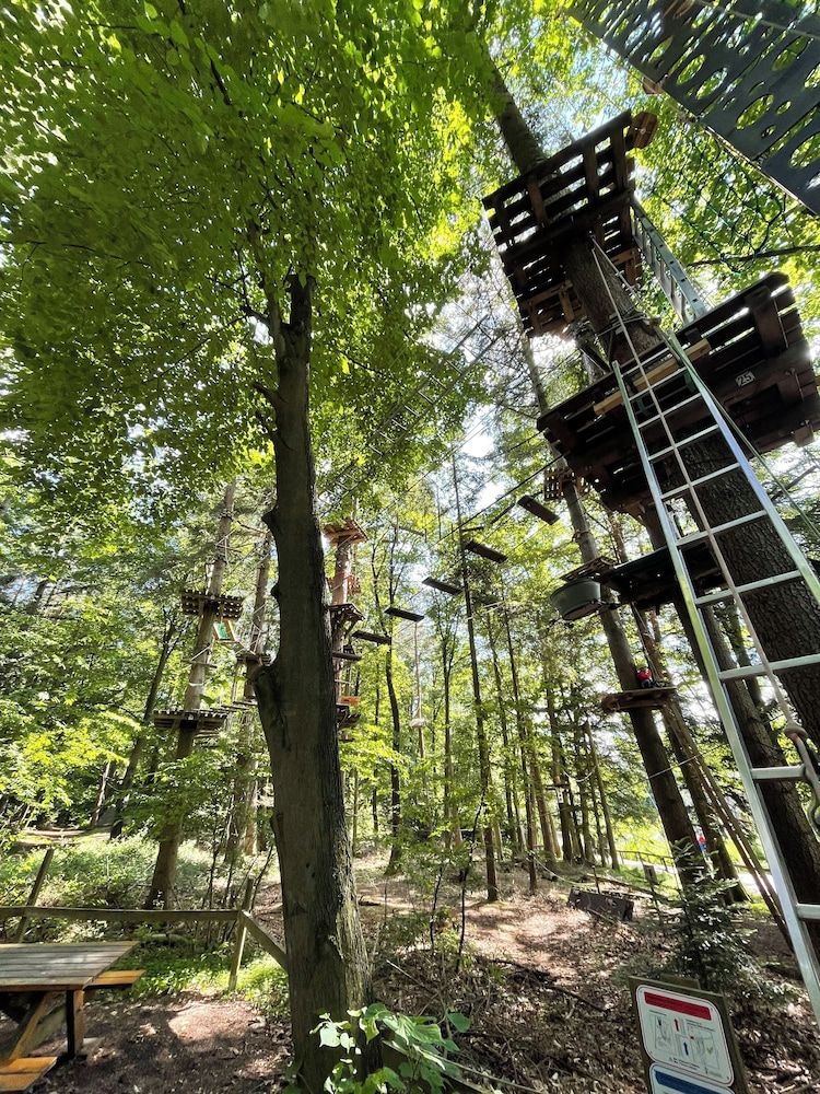 Ropes Course (Team Building)