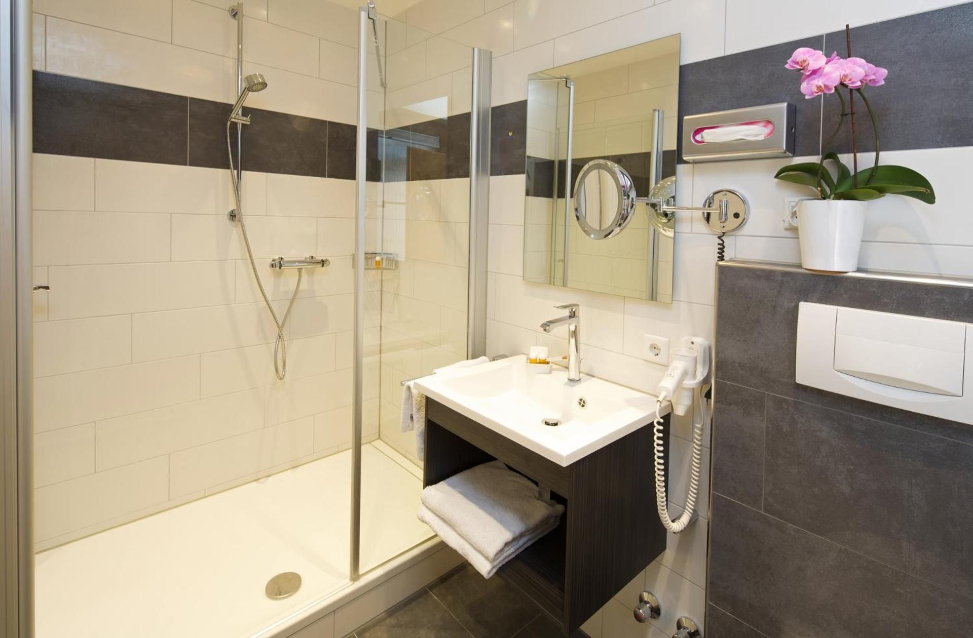 Hotel Warteck Standard  Double Room 3