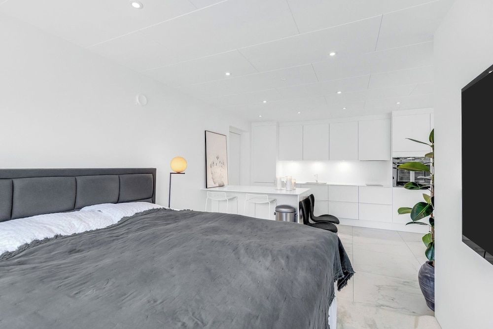 Apartment, 1 Bedroom, Smoking, Fireplace