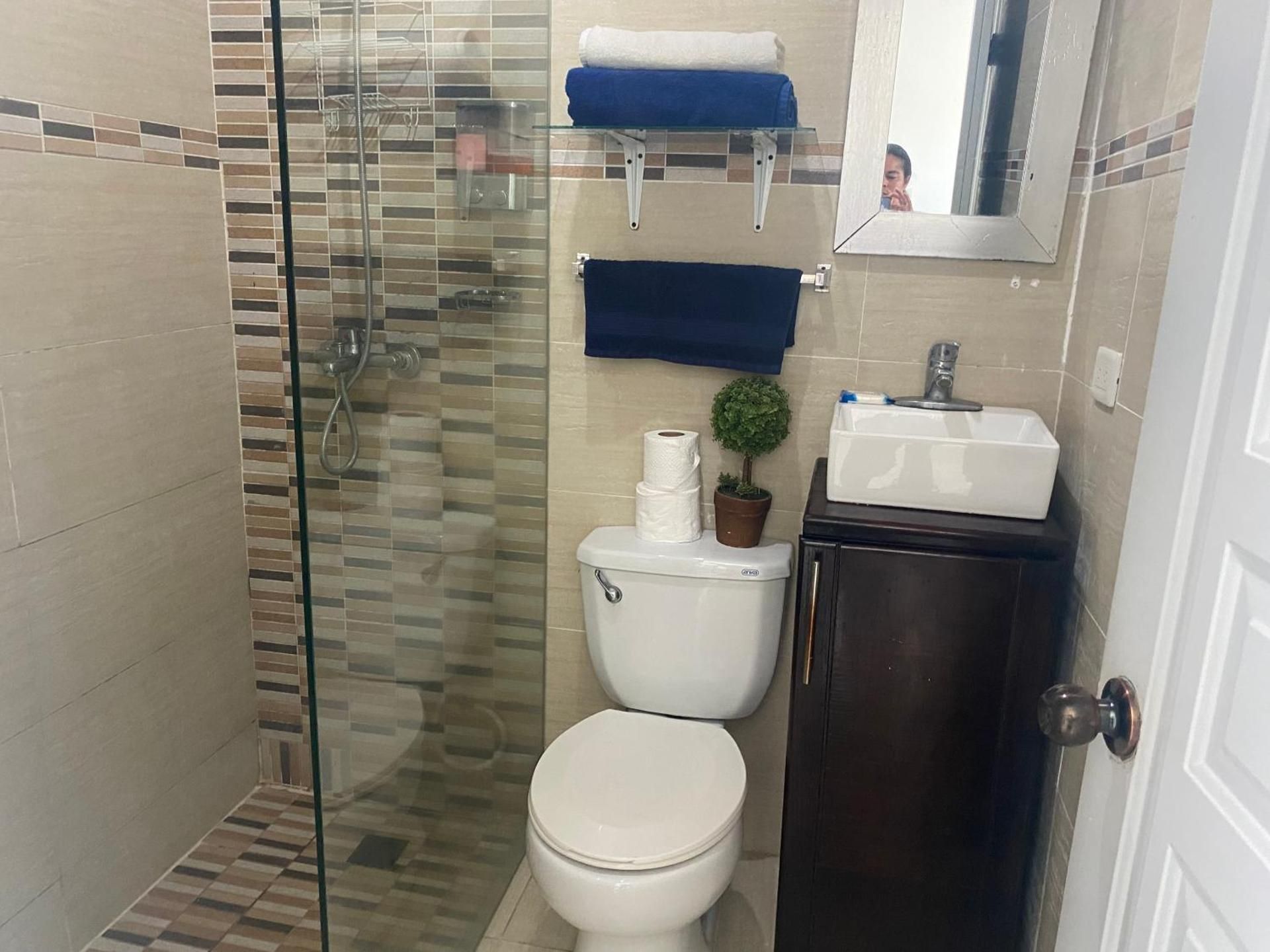 Apartamentos Magallanes Romana One-Bedroom Apartment 2