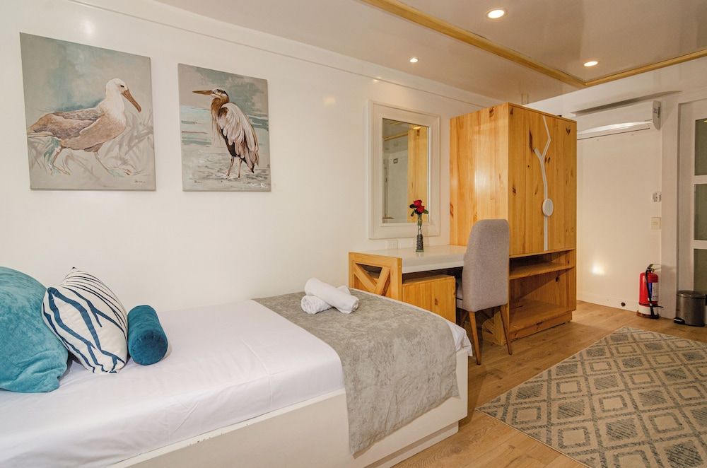 Galapagos Sea Star Junior Cabin, Ocean View 6