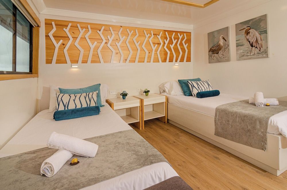 Galapagos Sea Star Junior Cabin, Ocean View 4